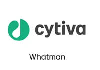 Whatman